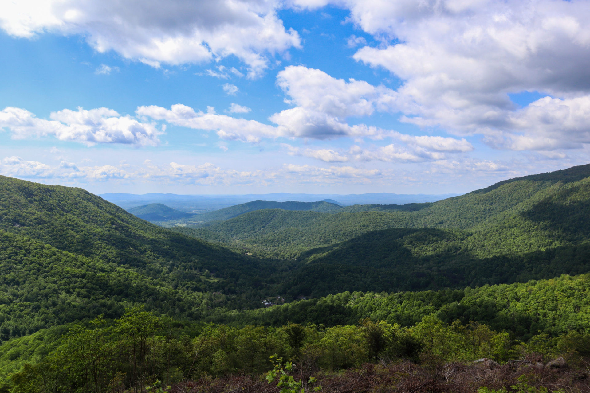 The 5 Best Overlooks on Skyline Drive