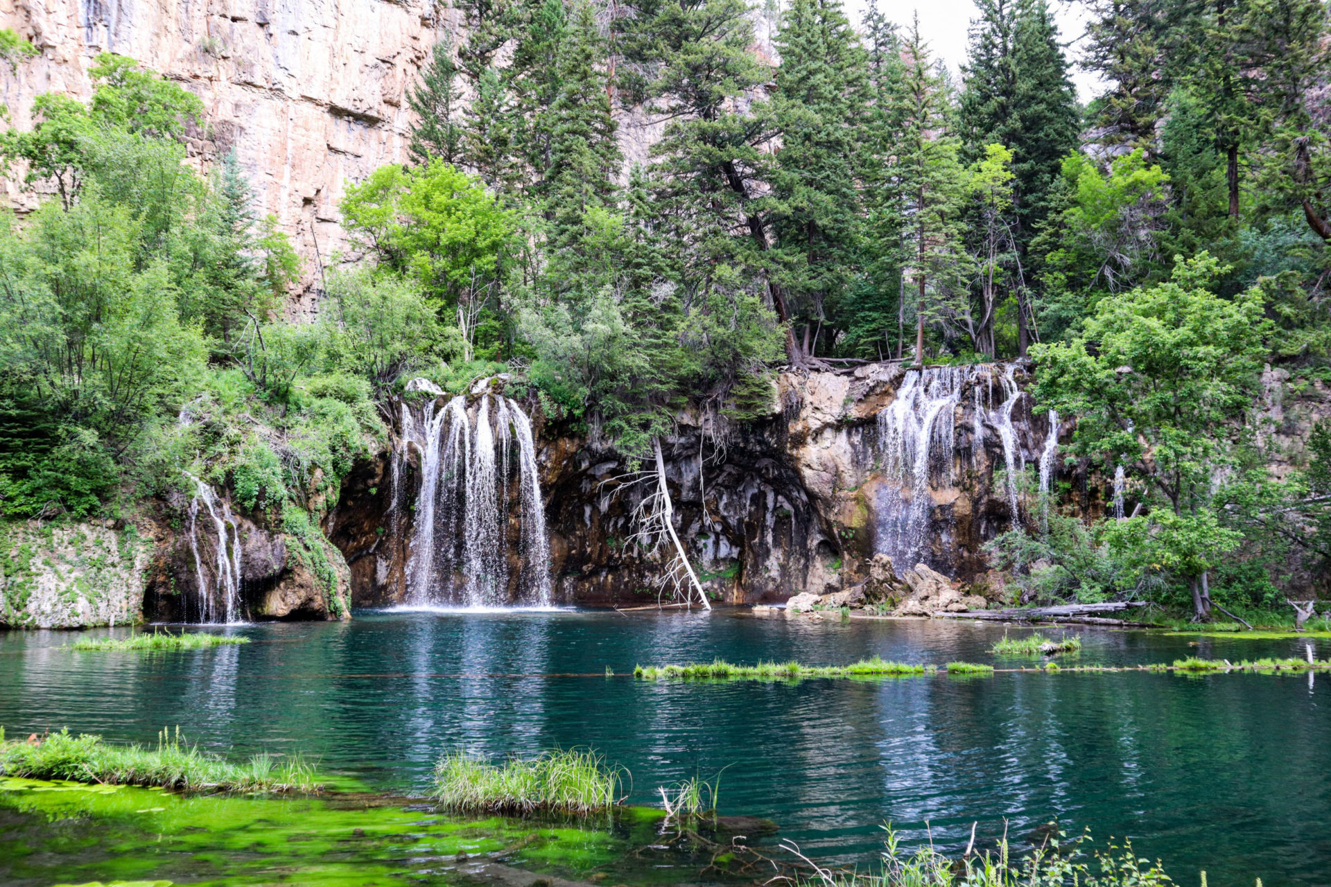 are dogs allowed at hanging lake