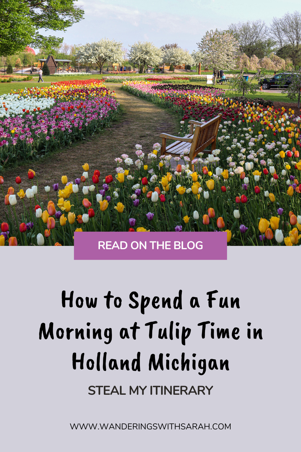 How to Spend a Fun Morning at Tulip Time in Holland Michigan